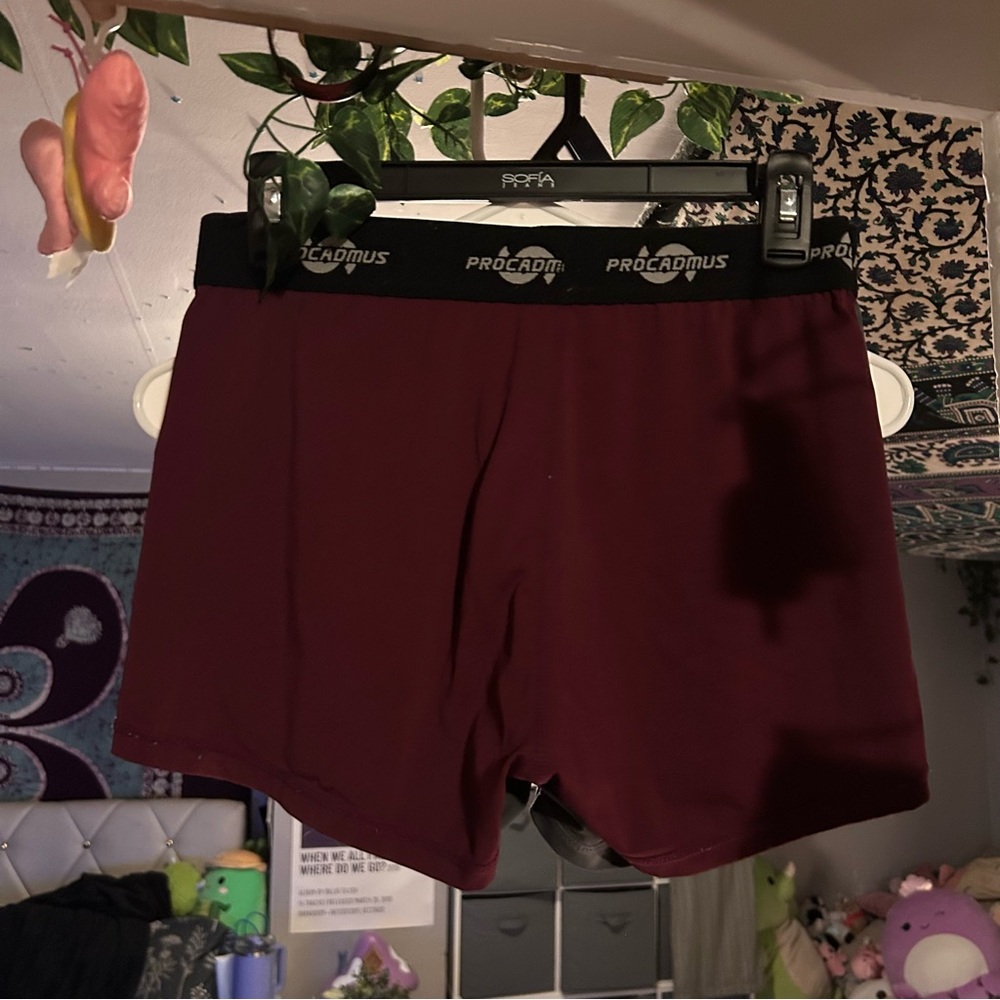 ProCadmus Maroon Spandex Shorts